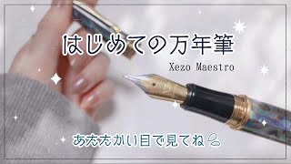 なにも】万年筆初心者がわくわく開封＆セットアップ.+*【わからない