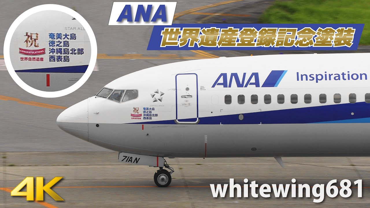 世界自然遺産登録記念特別塗装機] ANA Boeing 737-800 JA71AN LANDING