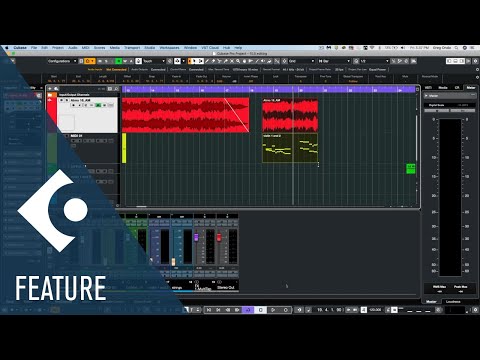 Steinberg Cubase Artist 11 - Muziker