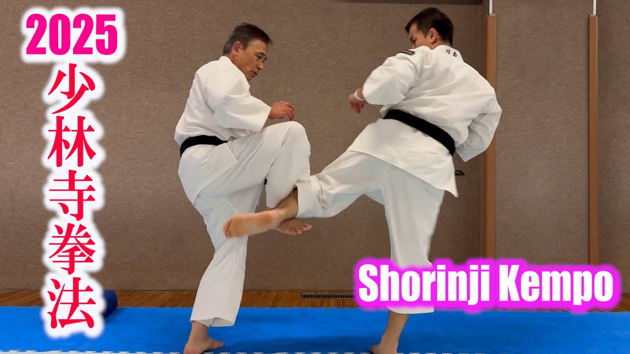 拳理体感 DVD セット 剛法編I・II 柔法編