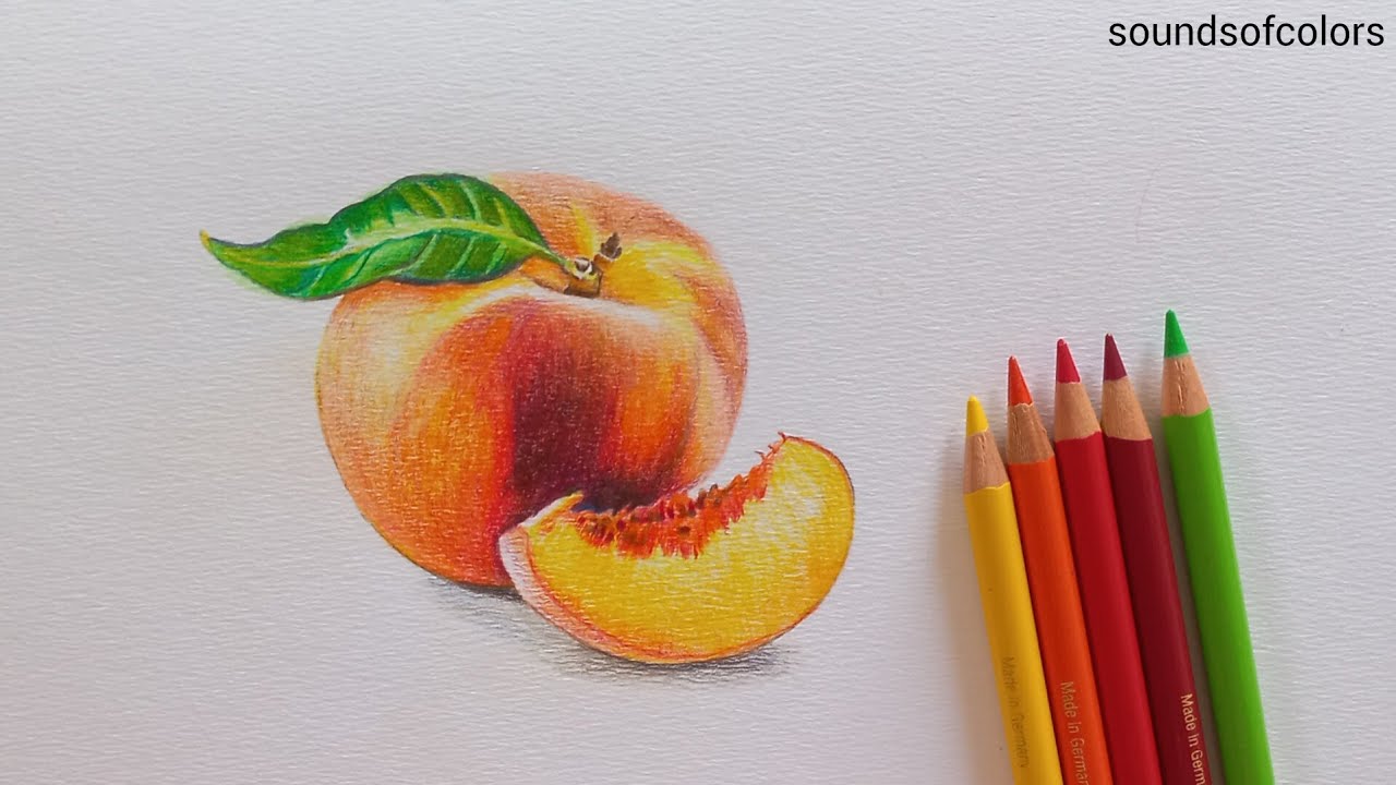 How to Draw a Peach | Peach Friut Drawing | Drawing with Colored