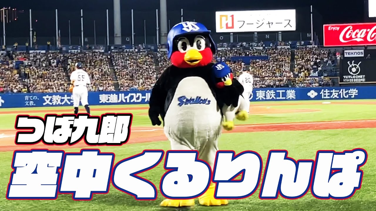 頭に直撃！つば九郎空中くるりんぱ｜2024年9月7日 阪神タイガース戦