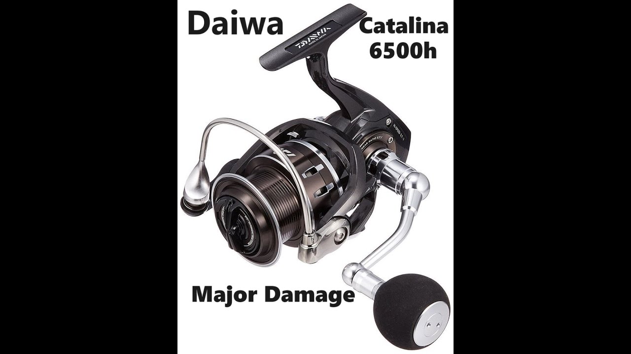 リールインプレ】16キャタリナ 4000H Daiwa 16 Catalina 4000H - YouTube