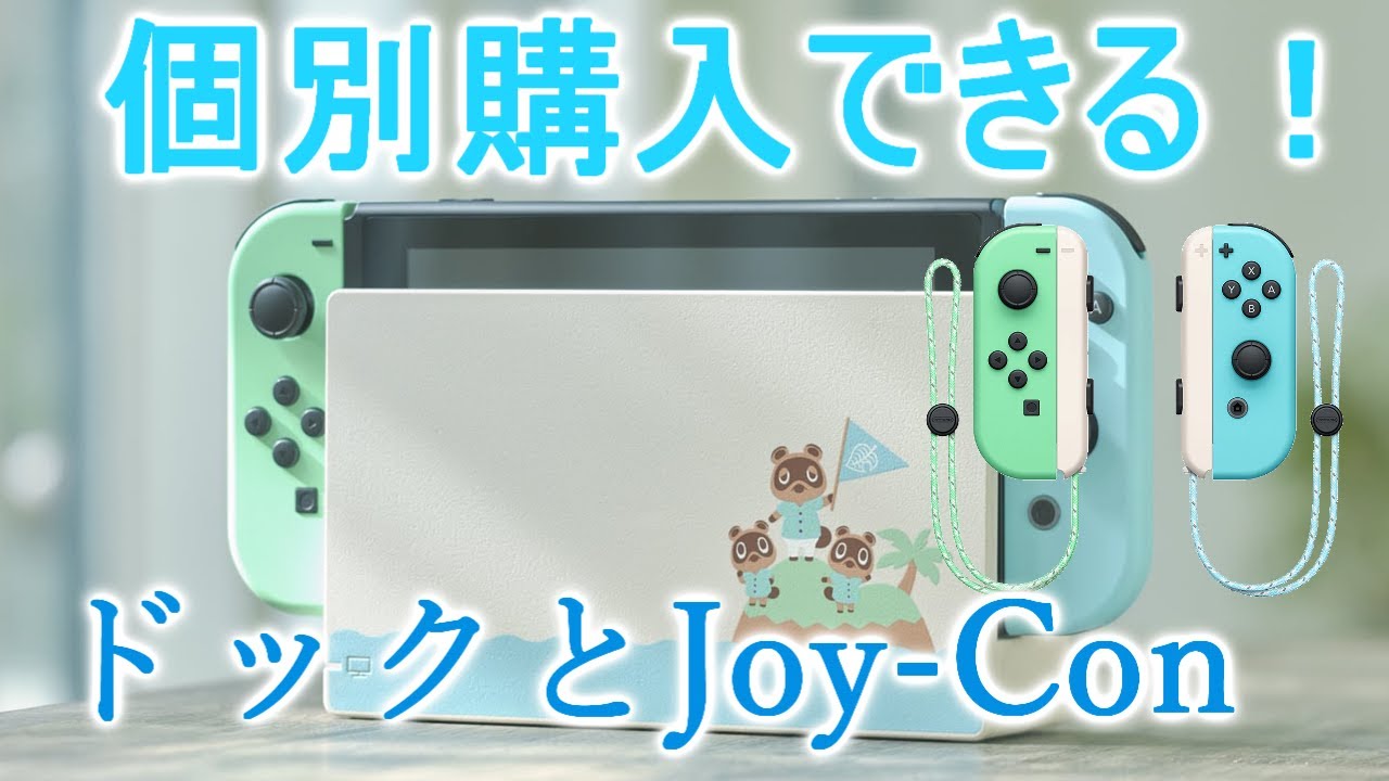 あつ森の同梱版を買わなくてもドックとJoy Conは個別購入可能に