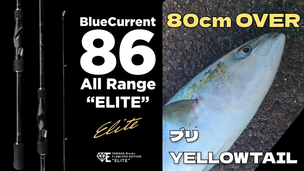 ヤマガブランクス】BlueCurrent 86 All Range “ELITE” VS ブリ - YouTube