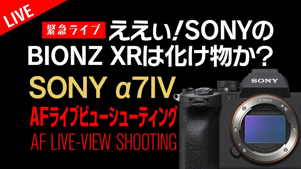 α7IV AFチェック】ライブビューシューティング！ええぃ！SONYのBIONZ