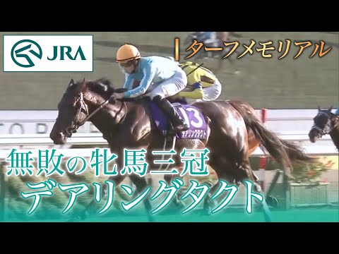 ターフメモリアル】無敗の牝馬三冠 デアリングタクト | JRA公式 - YouTube