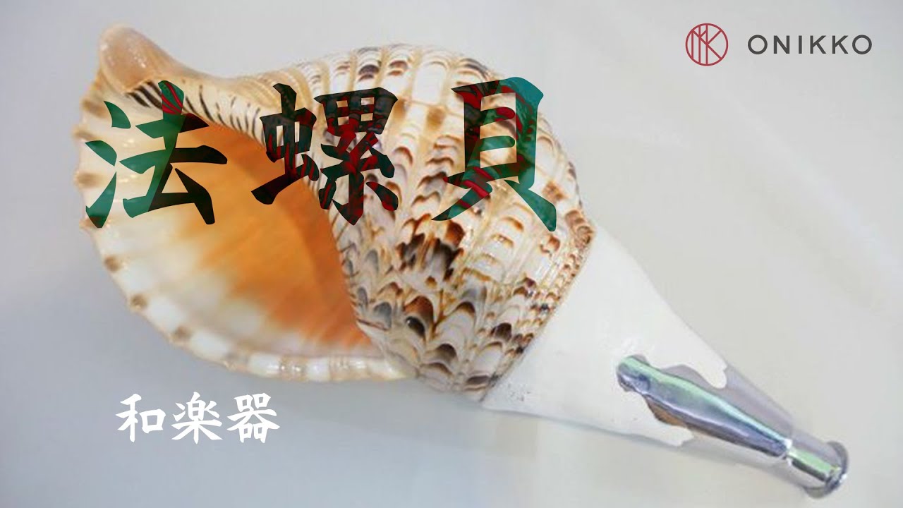 法螺貝 楽器の販売の事なら 国内最大級の品揃えONIKKO Horagai (Conch