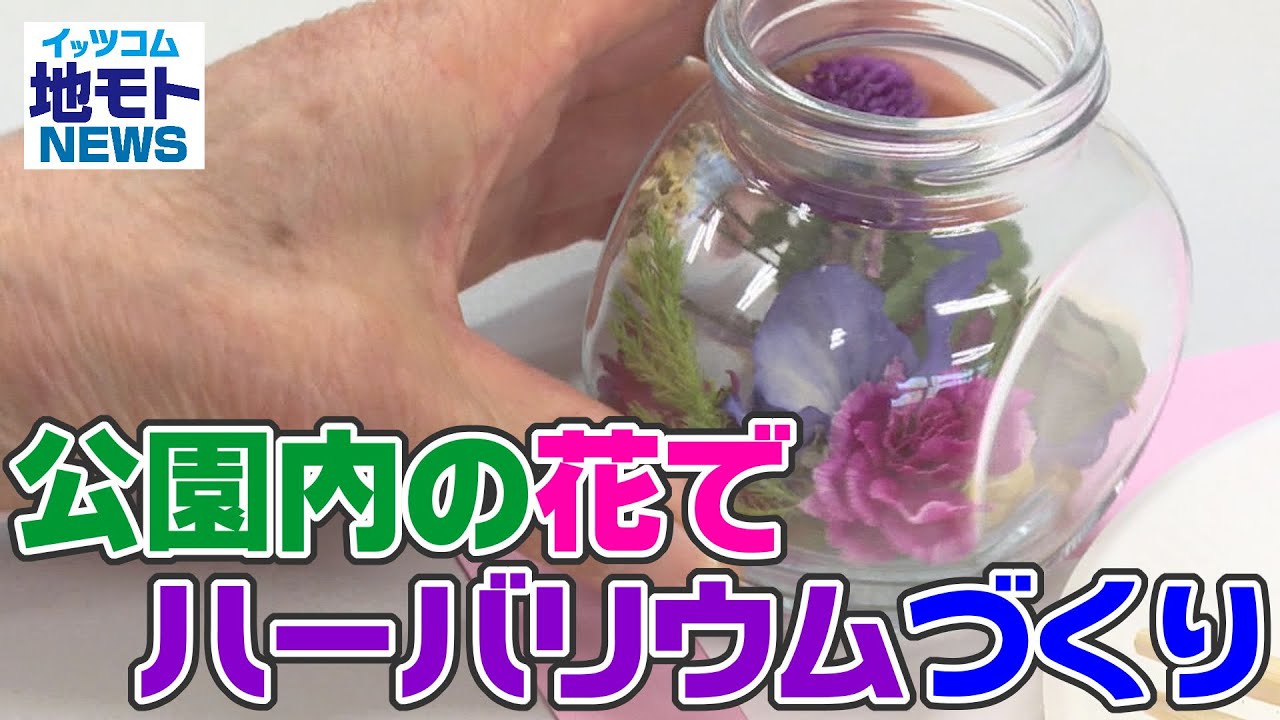 地モトNEWS【公園内の花でハーバリウムづくり】2022/5/3放送 - YouTube