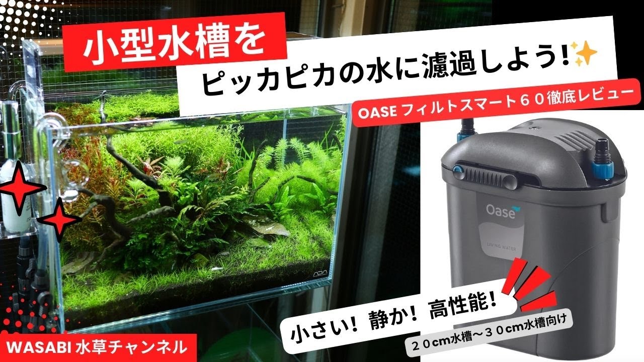 水がピッカピカになる小型濾過器！OASEフィルトスマート60「横置き