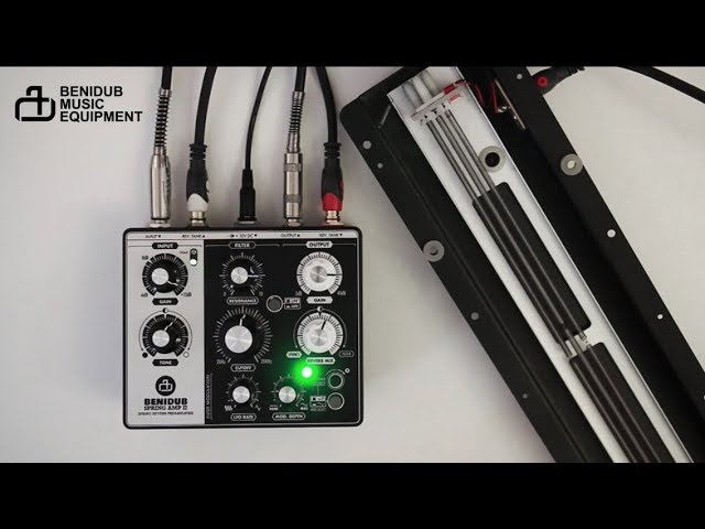 BENIDUB Spring Amp II Spring reverb - YouTube