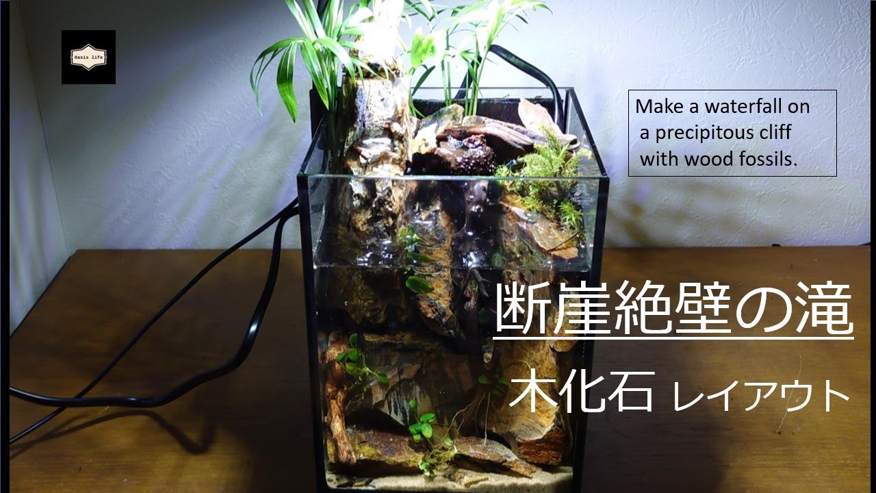 アクアリウム】断崖！木化石で滝が流れるアクアテラリウムを作る