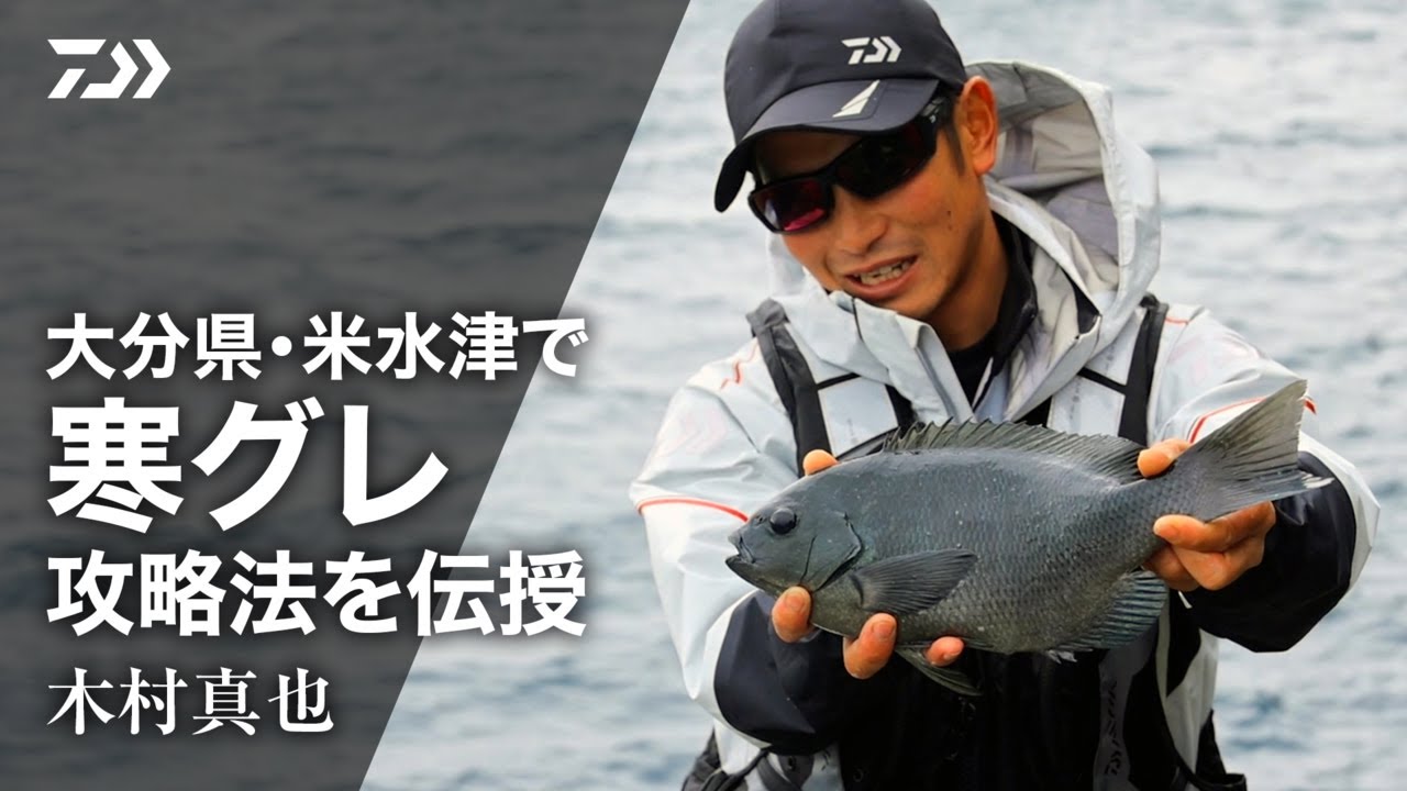 ダイワ 波濤(HATOU) 3-53HR・N【即日発送】(3-53HR・N): 竿｜釣具の