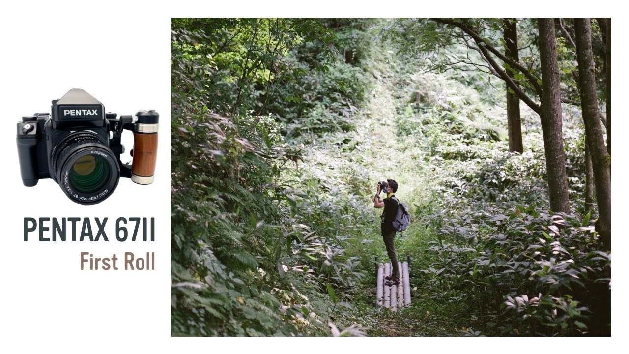 中判フィルムカメラ『バケペン』ファーストロール 薄明さんと森