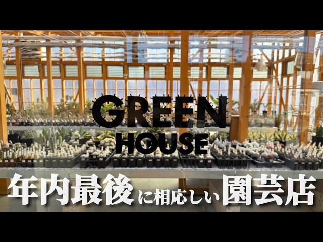 CACTUS GREEN] Enjoy the best store at the end of the year! I want