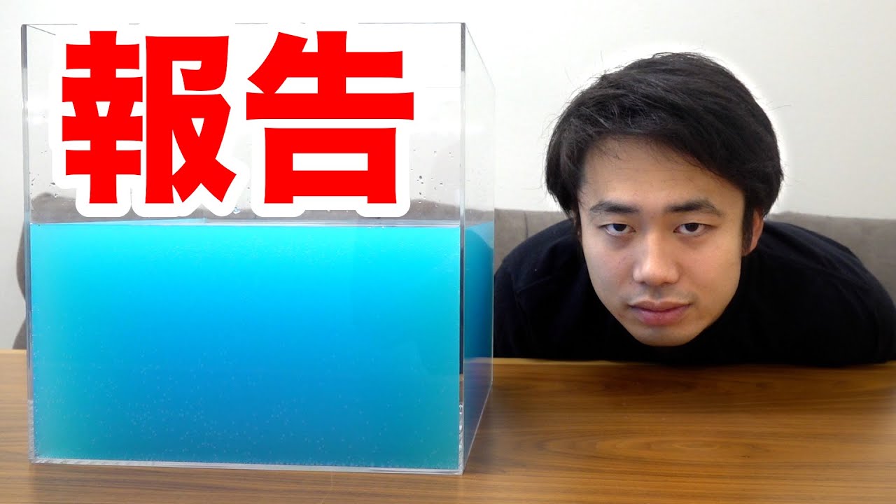 P2C Studioリリース ＞フィッシャーズによるライフスタイルブランド