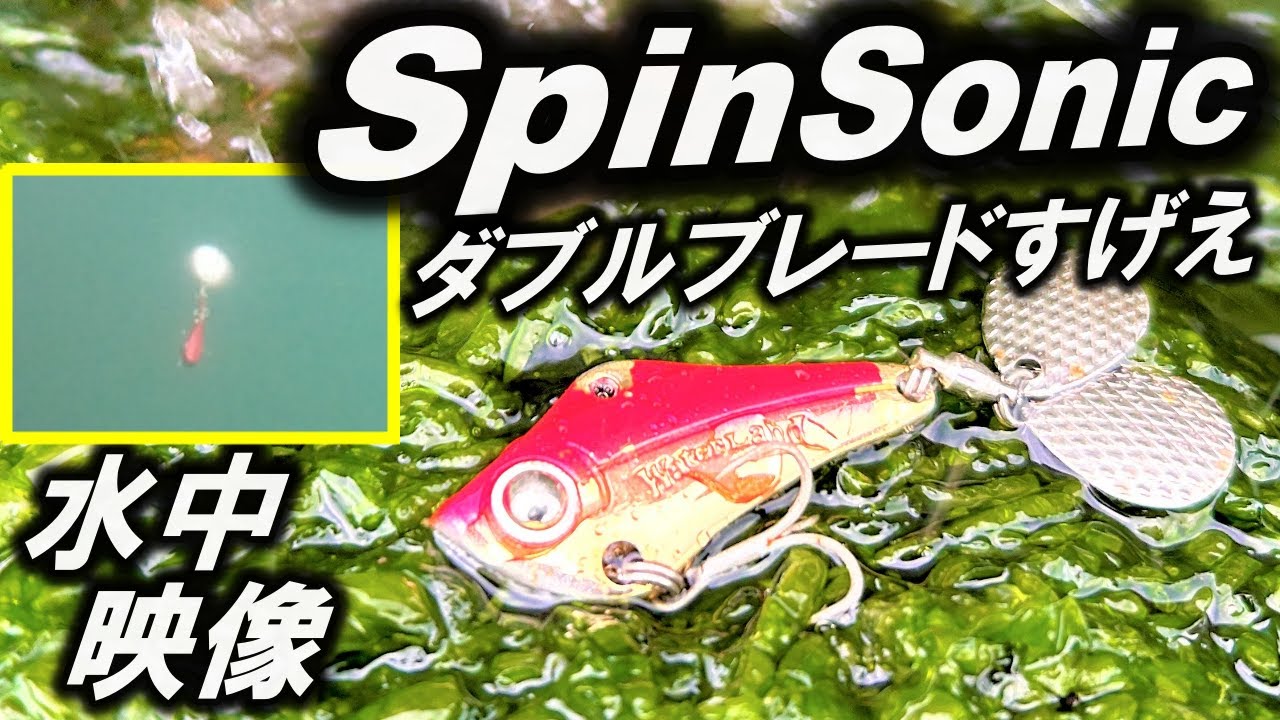 スピンソニック】水中映像 村田基 の WaterLand ルアー！釣れるわけだ