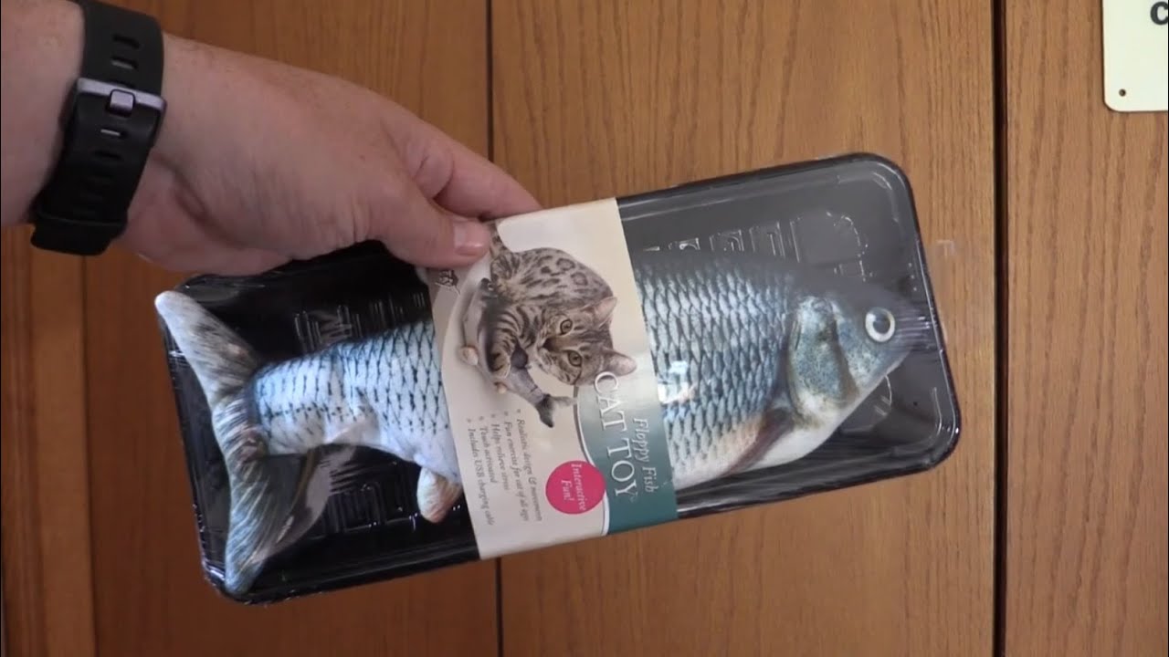 Cats Review Floppy Fish Toy (Made in MN!) - YouTube