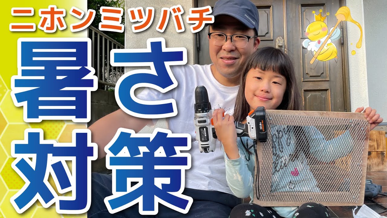 ニホンミツバチ養蜂】暑さ対策に巣箱底板を網にしました - YouTube