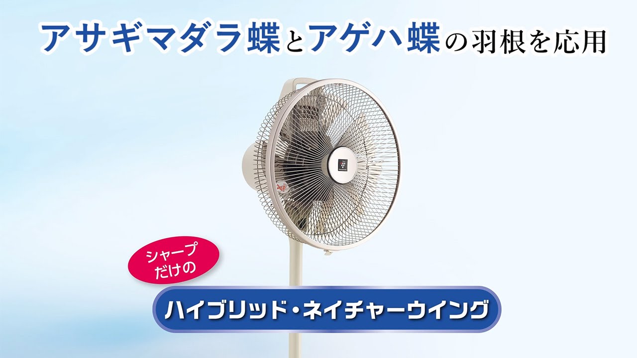 シャープ PJ-G3DG 価格比較 - 価格.com