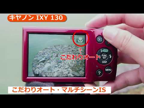 キヤノン IXY 130 グレー | コンパクトデジタルカメラ