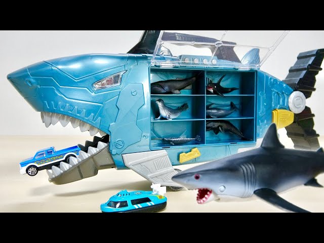 You can set marine creature figures! Large shark truck with lots