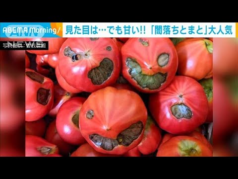 見た目は・・・でも甘い！！「闇落ちとまと」大人気(2021年5月26日