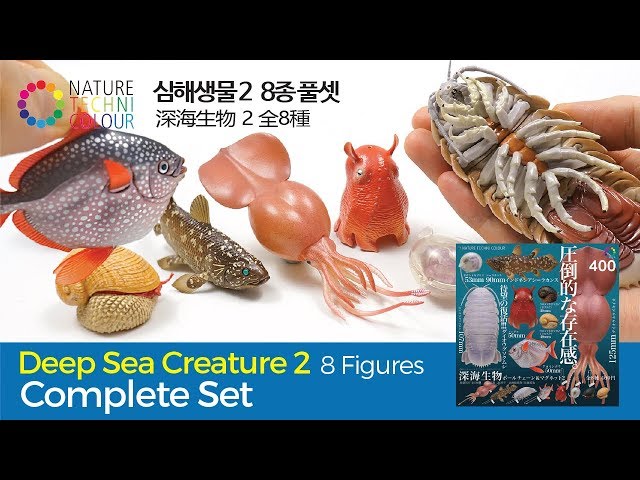 8 Amazing Deep Sea Creatures 2 / Nature Techni Colour MONO Plus