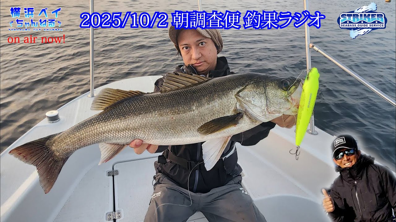 2025/10/2朝調査便【釣果ラジオ】 #シーバス #ビッグベイト #東京湾