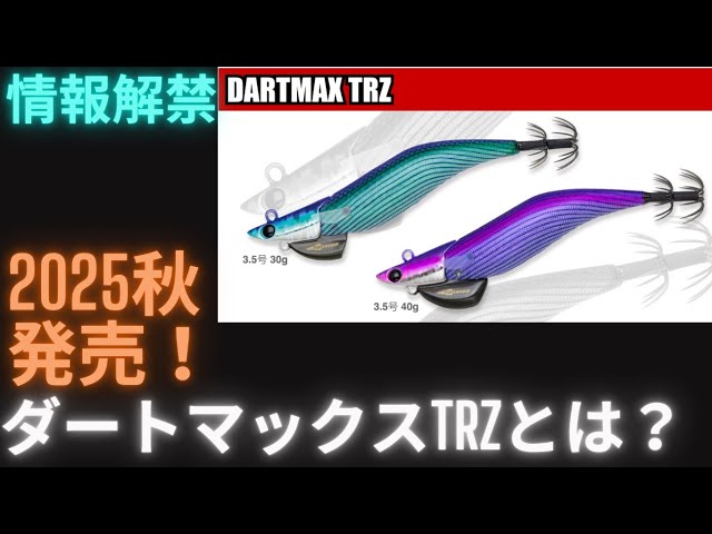 DARTMAX TRZ ルアー 40g 2色セット ダートマックスTRZ 2本セット