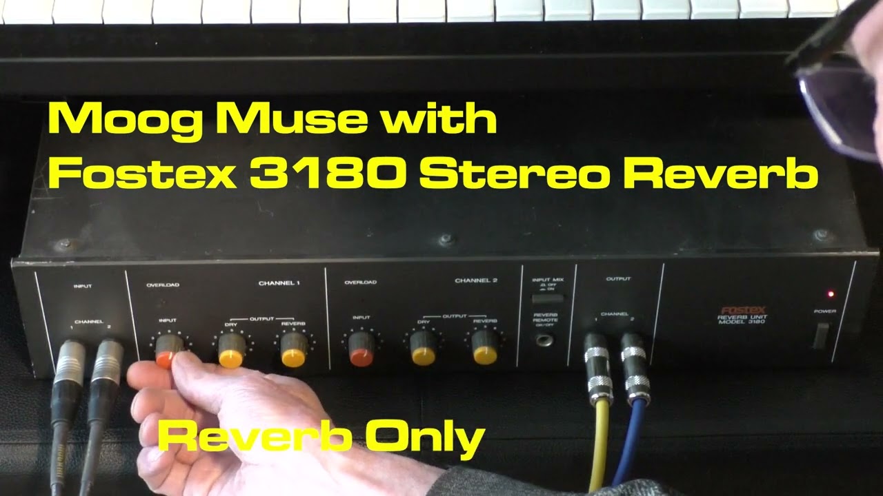 Fostex MODEL 3180 Analog Stereo Spring Reverb Rackmount Unit with