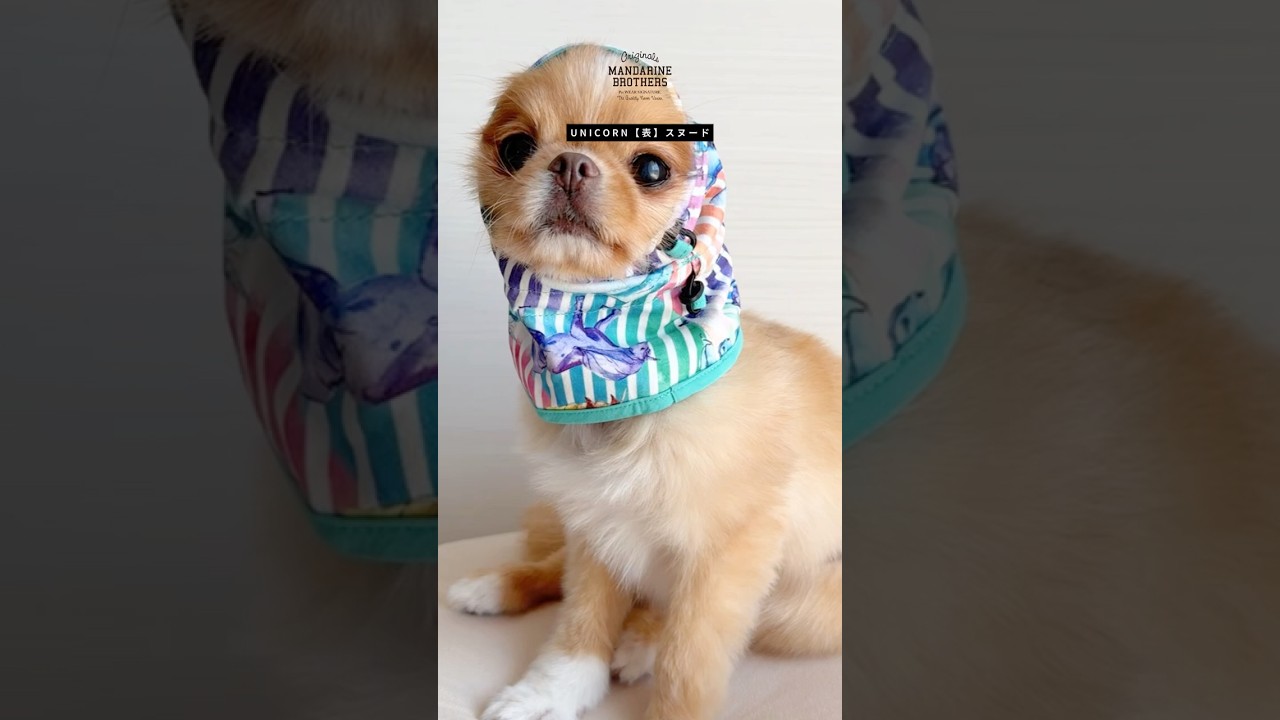 REVERSIBLE SNOOD（M）リバーシブルスヌード | MANDARINE BROTHERS