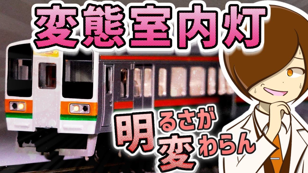 Nゲージ】 TOMIX E233系2000番台を墨入れ・TN化・インレタ転写・室内灯