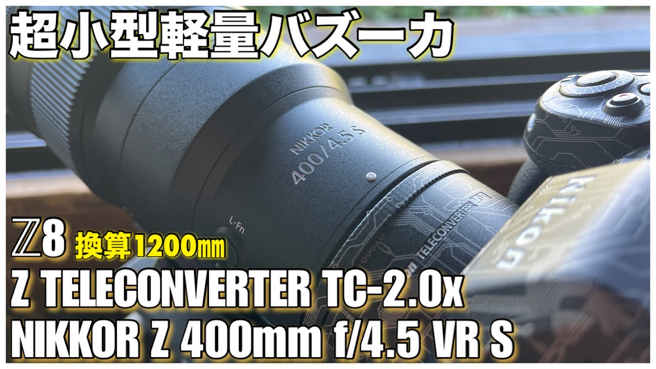 野鳥撮影】換算1200mmのライトバズーカ！ - Z8 × NIKKOR Z 400mm f/4.5