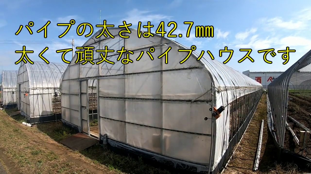 徳島県】ぼっち手作業でパイプハウス解体 その①【農業系】 - YouTube