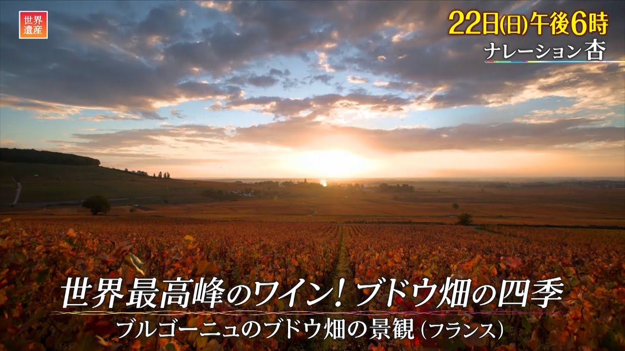 世界遺産』10/22(日) ブルゴーニュのブドウ畑の景観 〜 世界最高峰の