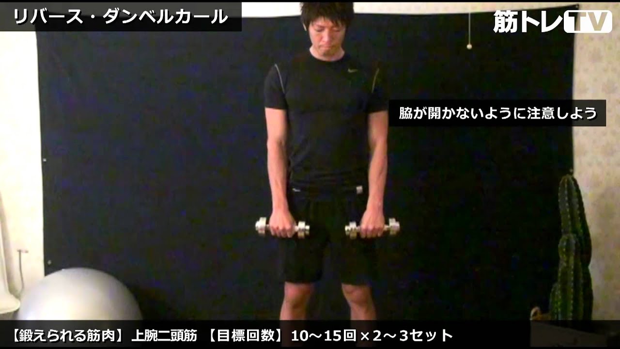リバース・ダンベルカール／上腕二頭筋（力こぶ）／筋トレ実践講座