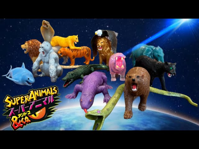 スーパーアニマルアンドコ コンプリートセット開封【DeAgostini SUPER