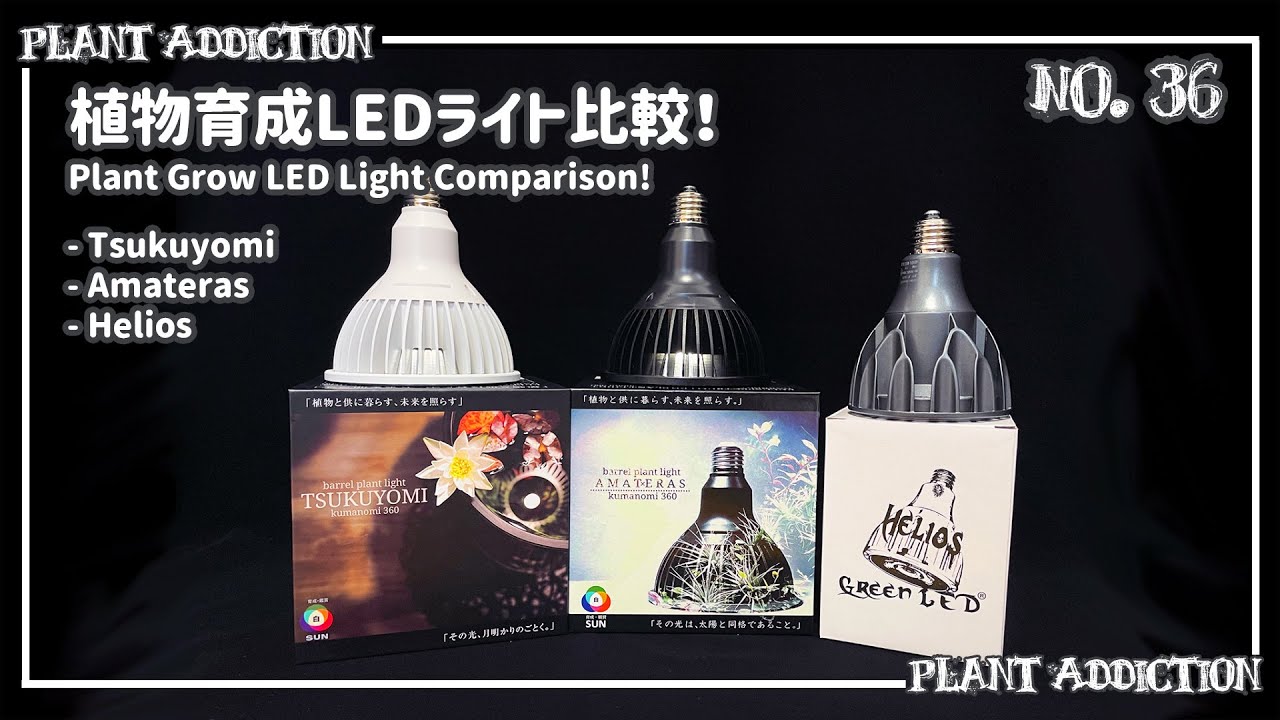 植物育成LEDライト比較！Plant Grow Led Light Comparison 【Tsukuyomi