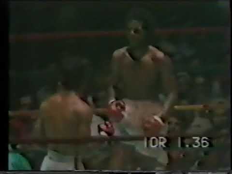 WBCジュニアフライ級タイトル戦！イラリオ・サパタvs中島成雄2nd