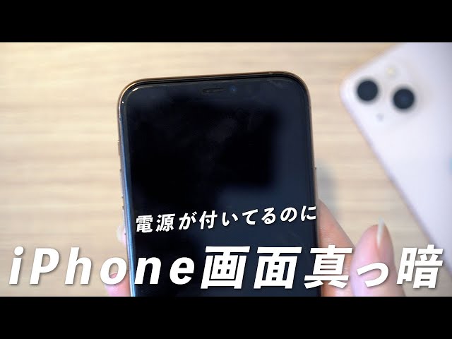 iPhone14/13/12】電源がついてるのに iPhone の画面が真っ暗になる
