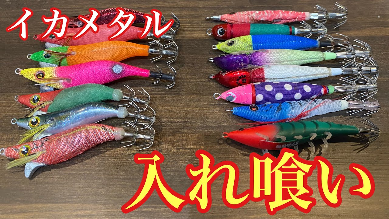 ある素材にイカが入れ喰い⁉︎爆釣を味わいたいならこのスッテ&エギを