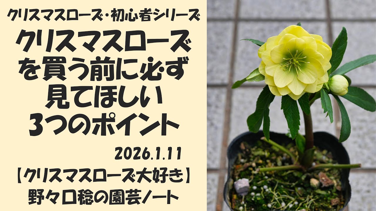 2026.1.11 Three things you should definitely check before buying a