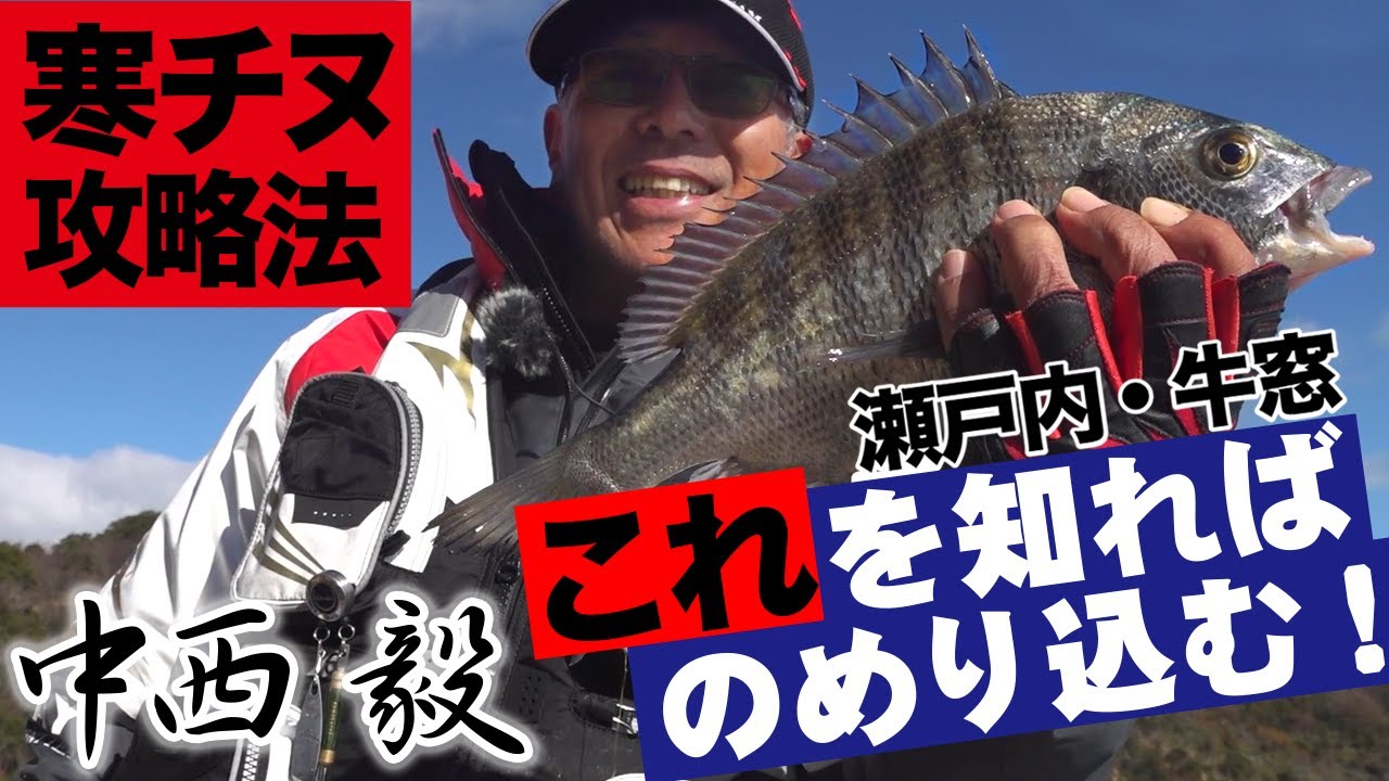 Catch a lot of cold-weather black porgy in Ushimado, Okayama