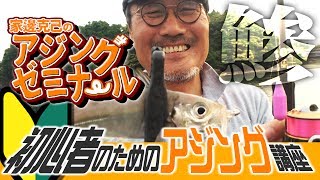 ENG SUB] Ajing for Beginners - Basics of Ajing Fishing from Bank
