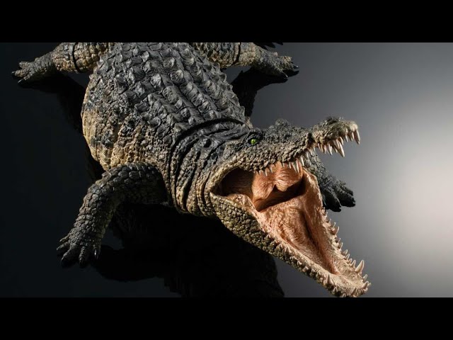 ナイルワニ』いきもの大図鑑アルティメット プレミアムBANDAI - YouTube