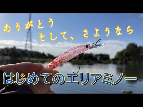 ありがとう】敢えて苦手な管理釣り場で、はじめてのエリアミノー