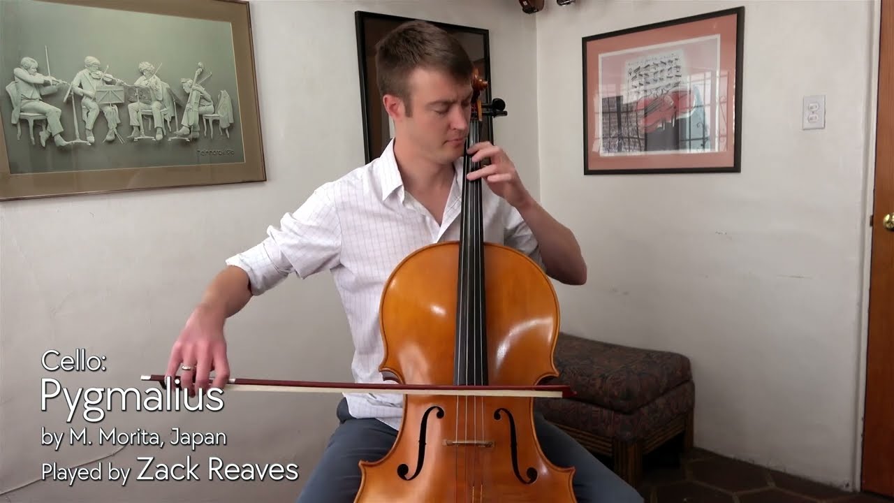 sold) Pygmalius cello by M. Morita, ST-303, Japan / Zack Reaves