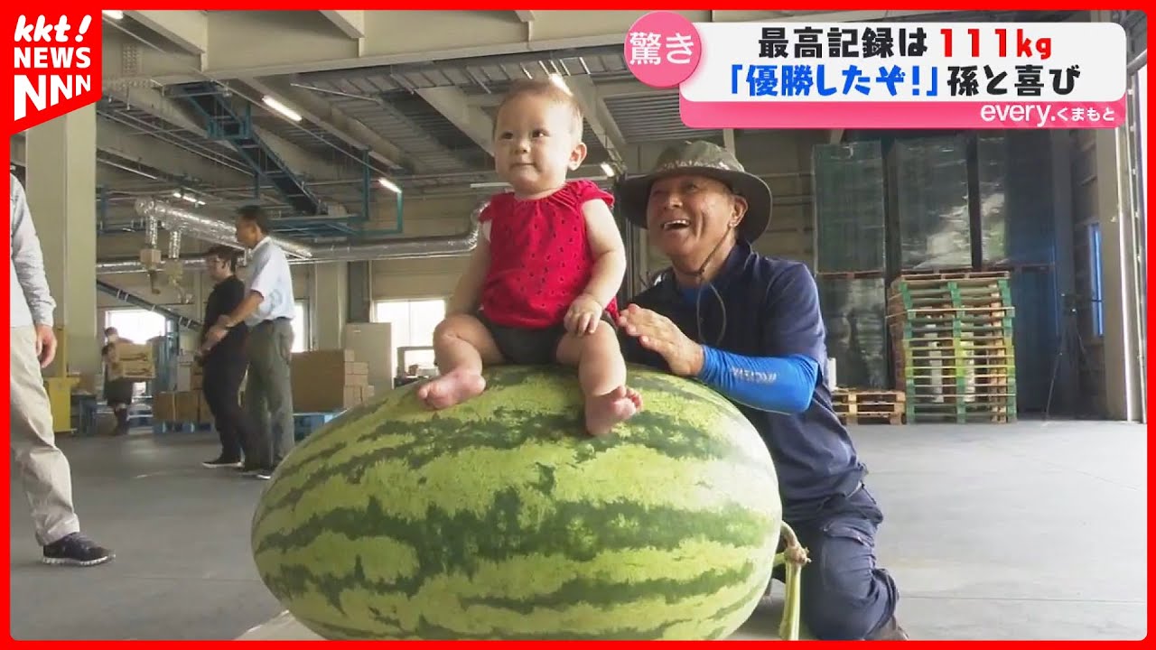 巨大スイカ】111キロの