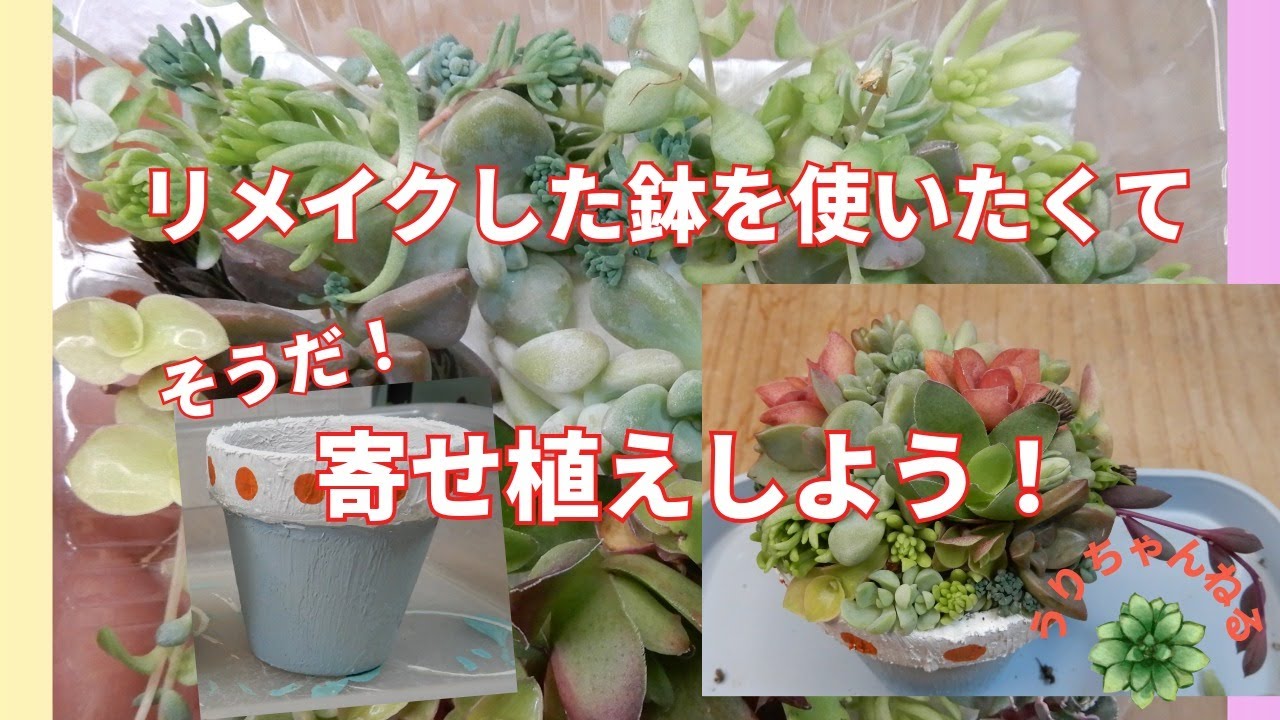 haru様♥♥♥専用です142 3号位のリメ鉢 haru様♥♥♥専用です142 3号